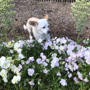 Meet your Posher, Robin